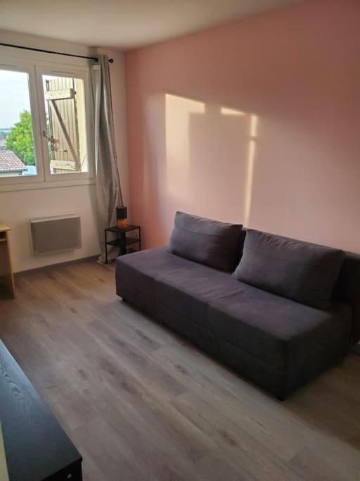 Appartement Moderne Et Equipe LʼIsle-Jourdain Exterior foto